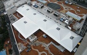 ����g���̘I(y��)�����Ĥ